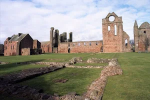 Arbroath Abbey image