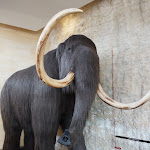 Photo n° 1 de l'avis de Arnaud. fait le 18/07/2023 à 16:52 pour Musée National de Préhistoire à Les Eyzies