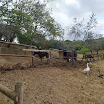 Photo n°8 de l'avis de Antonella.e fait le 10/04/2023 à 10:29 sur le  Agriturismo Fiorello à Spoltore