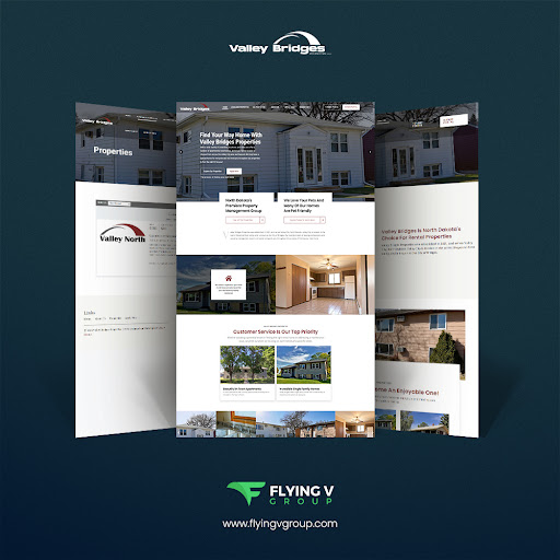 Flying V Group Digital Marketing image