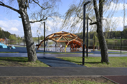 Park V Chest' Romashova