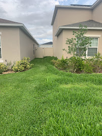 C & M Lawn Care Solutions LLC