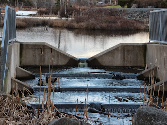 Belchers Marsh Park