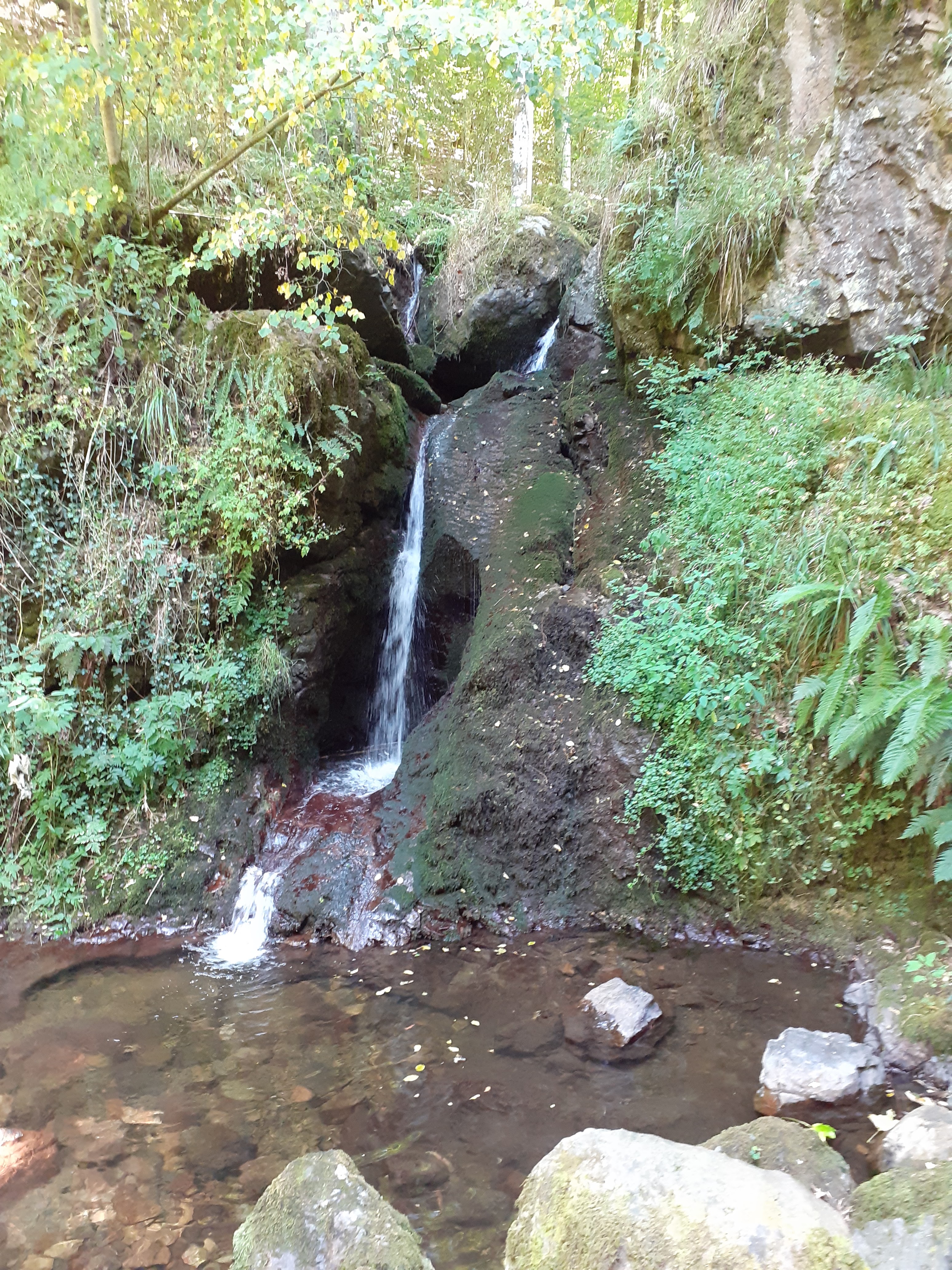Photo n° 1 de l'avis de sybille.e fait le 26/07/2019 à 09:33