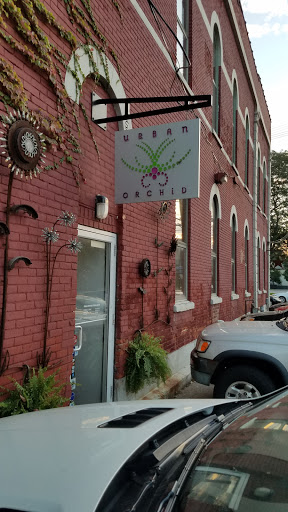 Florist «The Urban Orchid», reviews and photos, 1455 W 29th St, Cleveland, OH 44113, USA