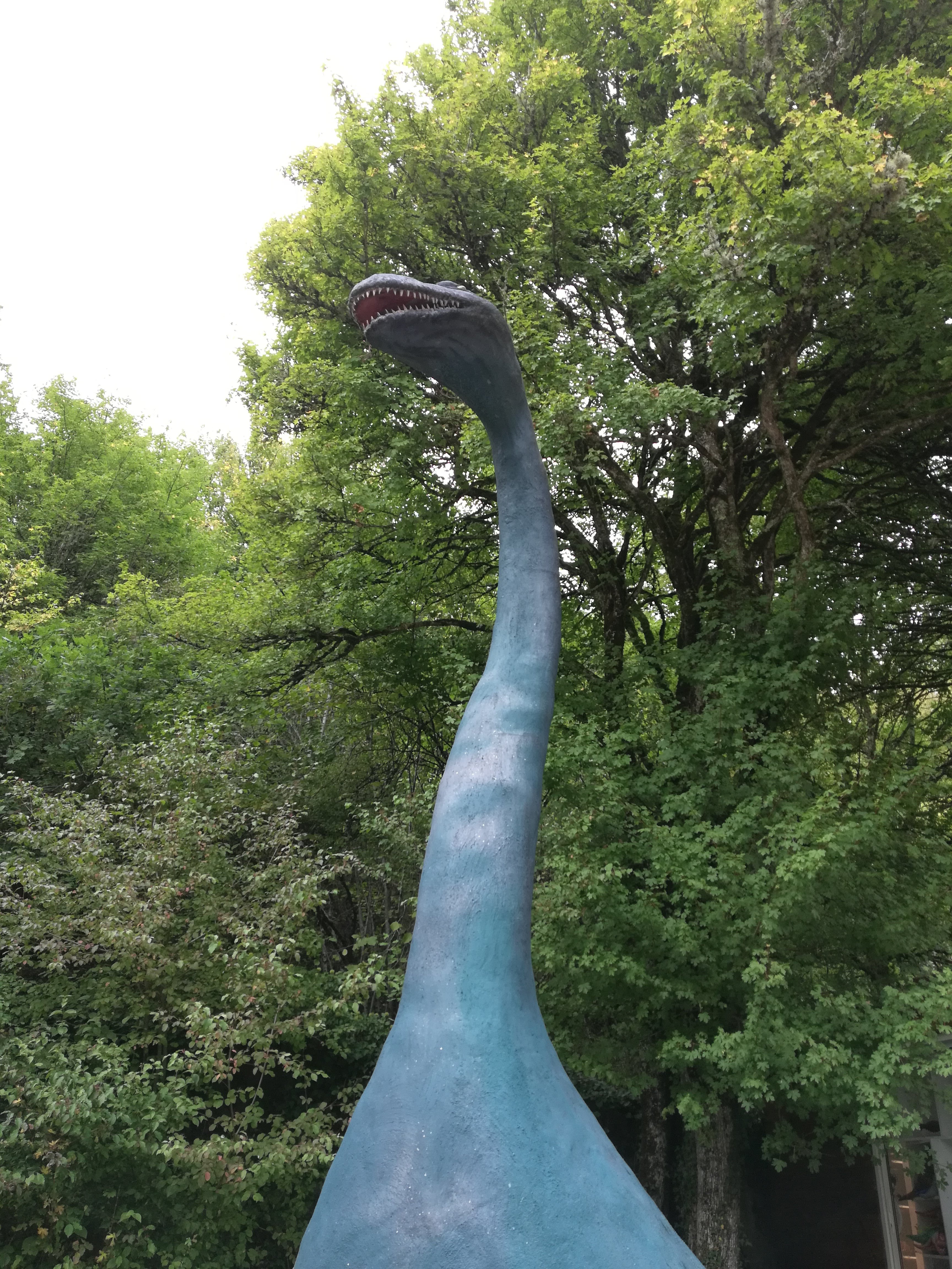 Photo n° 11 de l'avis de JACQUES.a fait le 30/09/2019 à 19:19