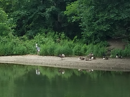 Zoo «Trevor Zoo at Millbrook School», reviews and photos, 282 Millbrook School Rd, Millbrook, NY 12545, USA