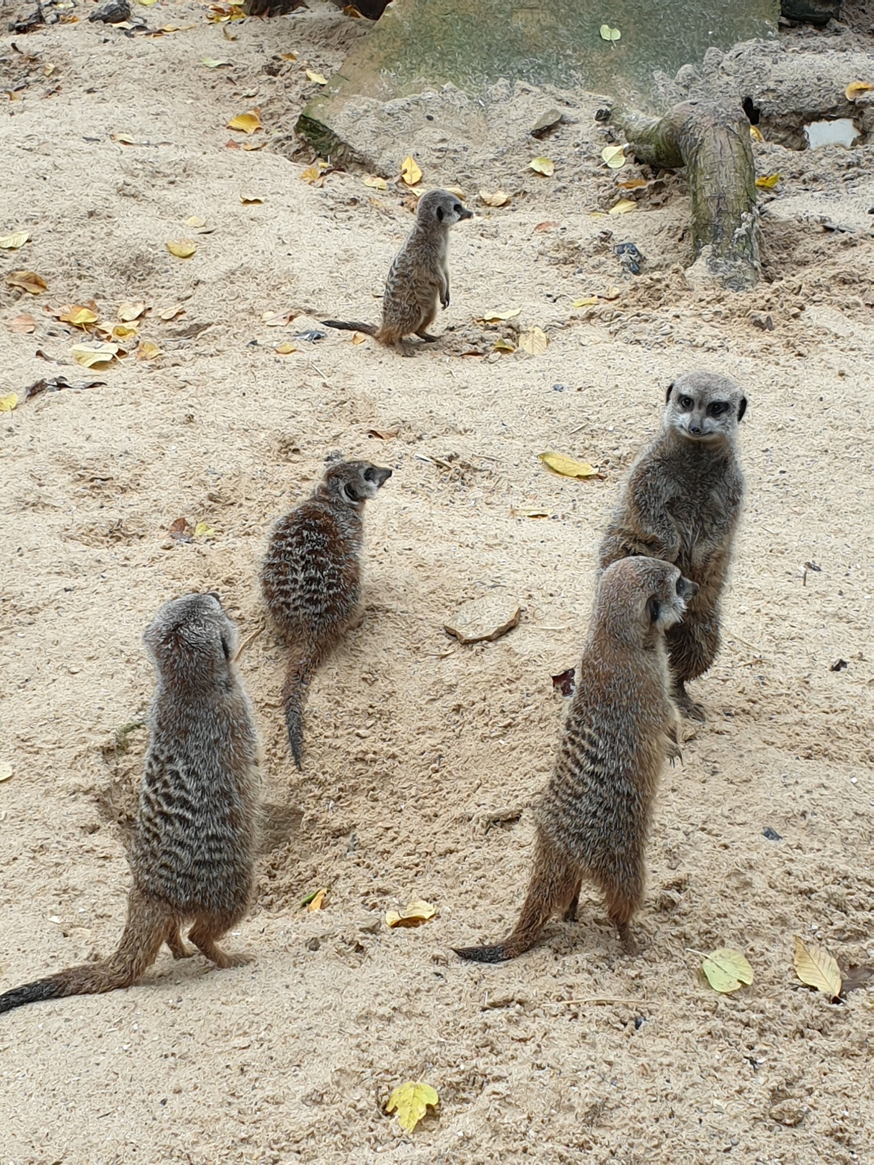 Photo n° 12 de l'avis de Jeremy.e fait le 11/07/2021 à 09:11