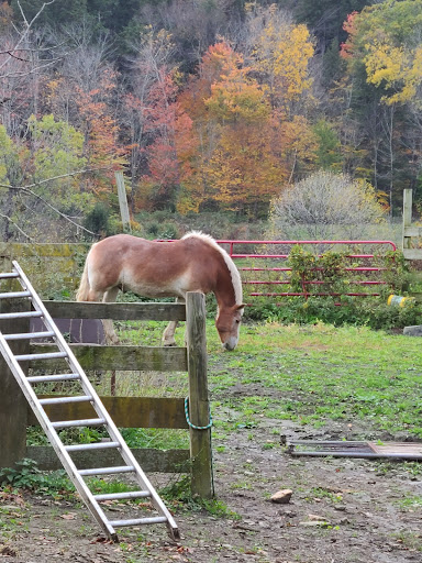 Tourist Attraction «Sugarbush Farm», reviews and photos, 591 Sugarbush Farm Rd, Woodstock, VT 05091, USA