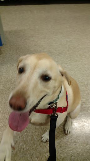 Pet Supply Store «PetSmart», reviews and photos, 5160 US-70, Morehead City, NC 28557, USA