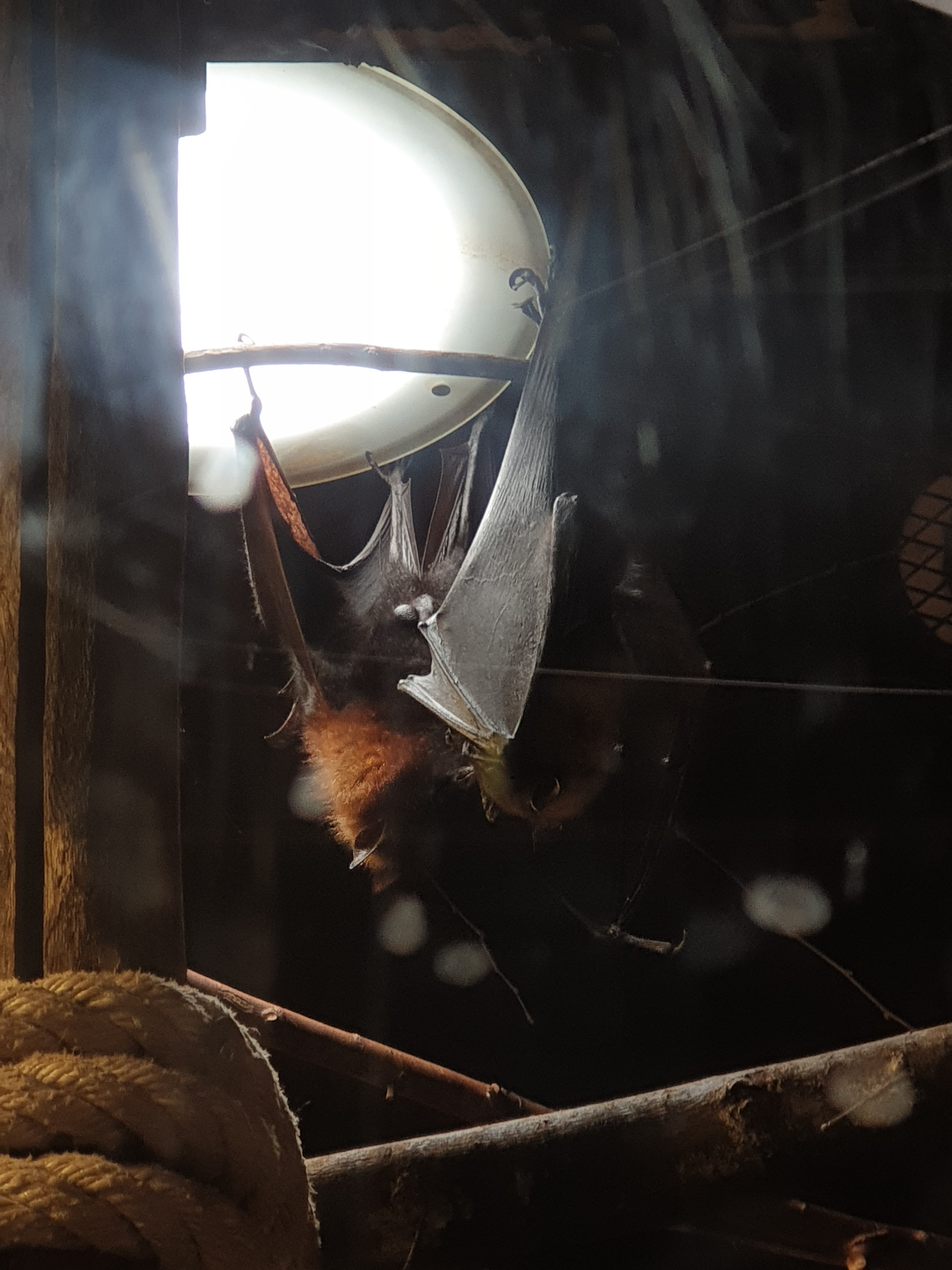 Photo n° 10 de l'avis de Ho.a fait le 16/07/2022 à 15:46