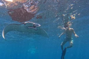Lembongan Snorkeling Trips image