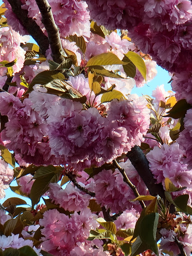 Home Improvement Store «The Home Depot», reviews and photos, 782 PA-113, Souderton, PA 18964, USA