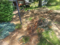 Tiger Plumbing, Heating, Air Conditioning, & Electrical Services - Photo 7 - Car repair in Bloomington, IL, Bloomington