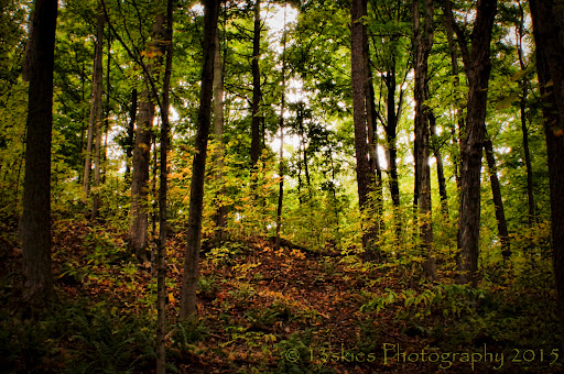 Western Ridge Trail