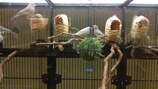 Pet Supply Store «PetSmart», reviews and photos, 1125 Quentin Rd, Lebanon, PA 17042, USA