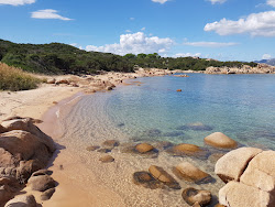 Capo Ceraso Beach'in fotoğrafı çok temiz temizlik seviyesi ile