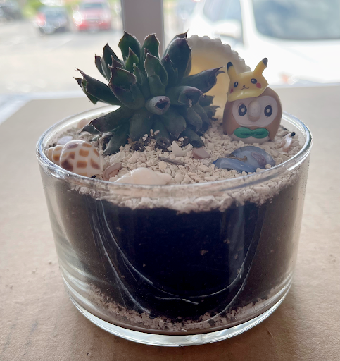 Video Game Store «Legacy Games», reviews and photos, 15086 Claret Ave W, Rosemount, MN 55068, USA