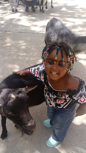 Zoo «Oceans of Fun», reviews and photos, 10001 W Bluemound Rd, Milwaukee, WI 53226, USA