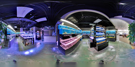 Tropical Fish Store «Optimum Aquarium», reviews and photos, 840 Ernest W Barrett Pkwy NW #700, Kennesaw, GA 30144, USA