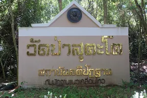 Wat Pasukato image