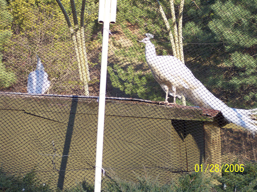 Hindu Temple «ISKCON New Vrindaban», reviews and photos