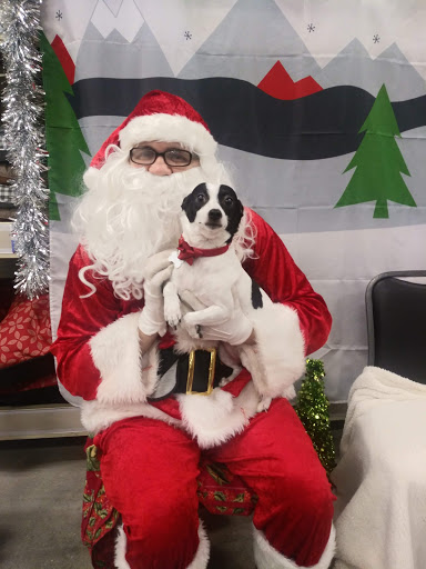 Pet Supply Store «PetSmart», reviews and photos, 5013 S Cleveland Ave, Fort Myers, FL 33907, USA