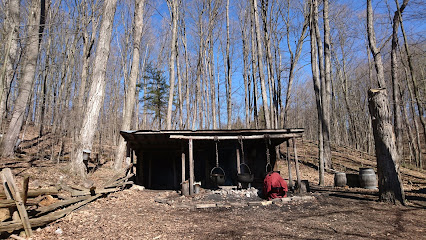 Sugarbush Maple Syrup Festival at Kortright Centre for Conservation