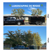 Landscaping De Rosas - Photo 6 - Car repair in , Los Angeles