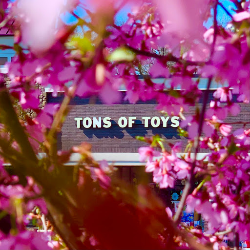Toy Store «Tons of Toys», reviews and photos, 1 Mine Brook Rd, Bernardsville, NJ 07924, USA