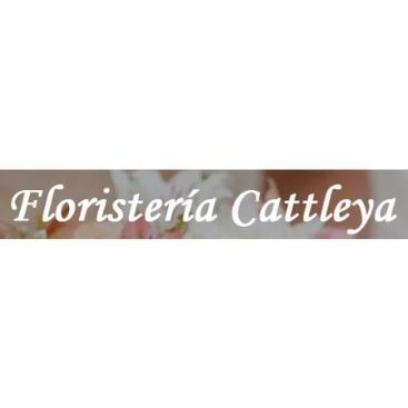 Comentarios y opiniones de CATTLEYA Flores y Regalos