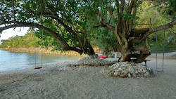 Frenchman beach'in fotoğrafı vahşi alan