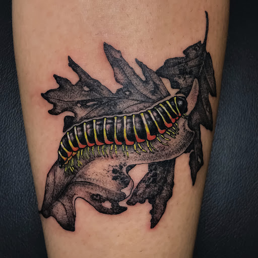 Explore spine tattoo ideas for females, creative tattoo ideas in Bellefonte, available at Juniper Studio