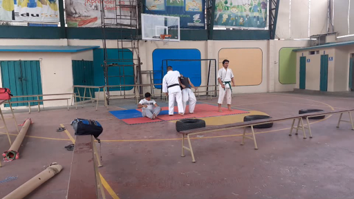 ESCUELA DE KARATE-DO SHITO RYU 