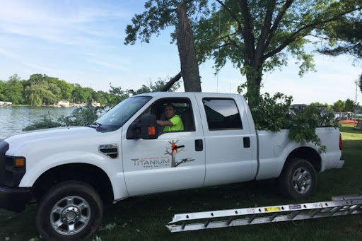 Ann Arbor Tree Trimming & Removal Service