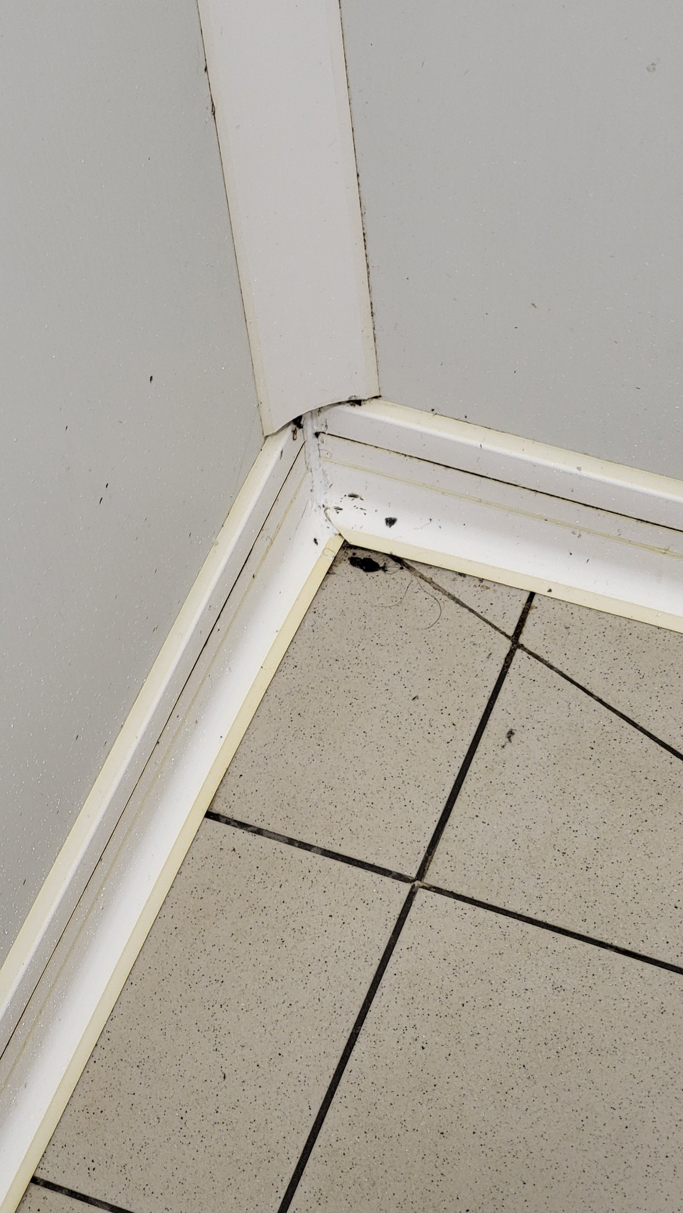 Photo n° 2 de l'avis de Julien.a fait le 15/02/2023 à 07:01