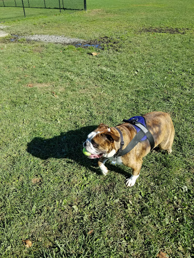 Park «Maple Hill Dog Park», reviews and photos, 390 County Rd 78, Middletown, NY 10940, USA