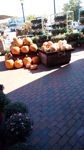 Market «Westborn Market», reviews and photos, 27659 Woodward Ave, Berkley, MI 48072, USA