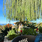 Photo n°3 de l'avis de Dominik. fait le 02/01/2024 à 16:27 sur le  Restaurante A Chave à Santana