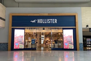 Hollister Co. image