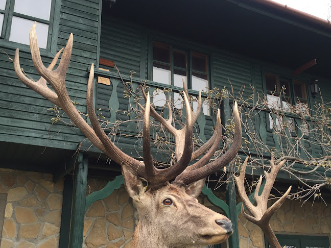 Hozzászólások és értékelések az Hunnia Hunting & Game and Hunting Lodge-ról