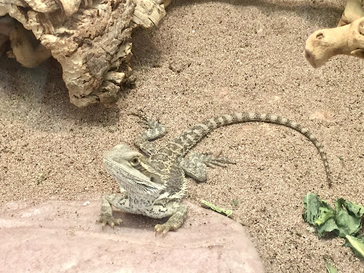 Pet Supply Store «Pet Supermarket», reviews and photos, 1482 Apalachee Pkwy, Tallahassee, FL 32301, USA