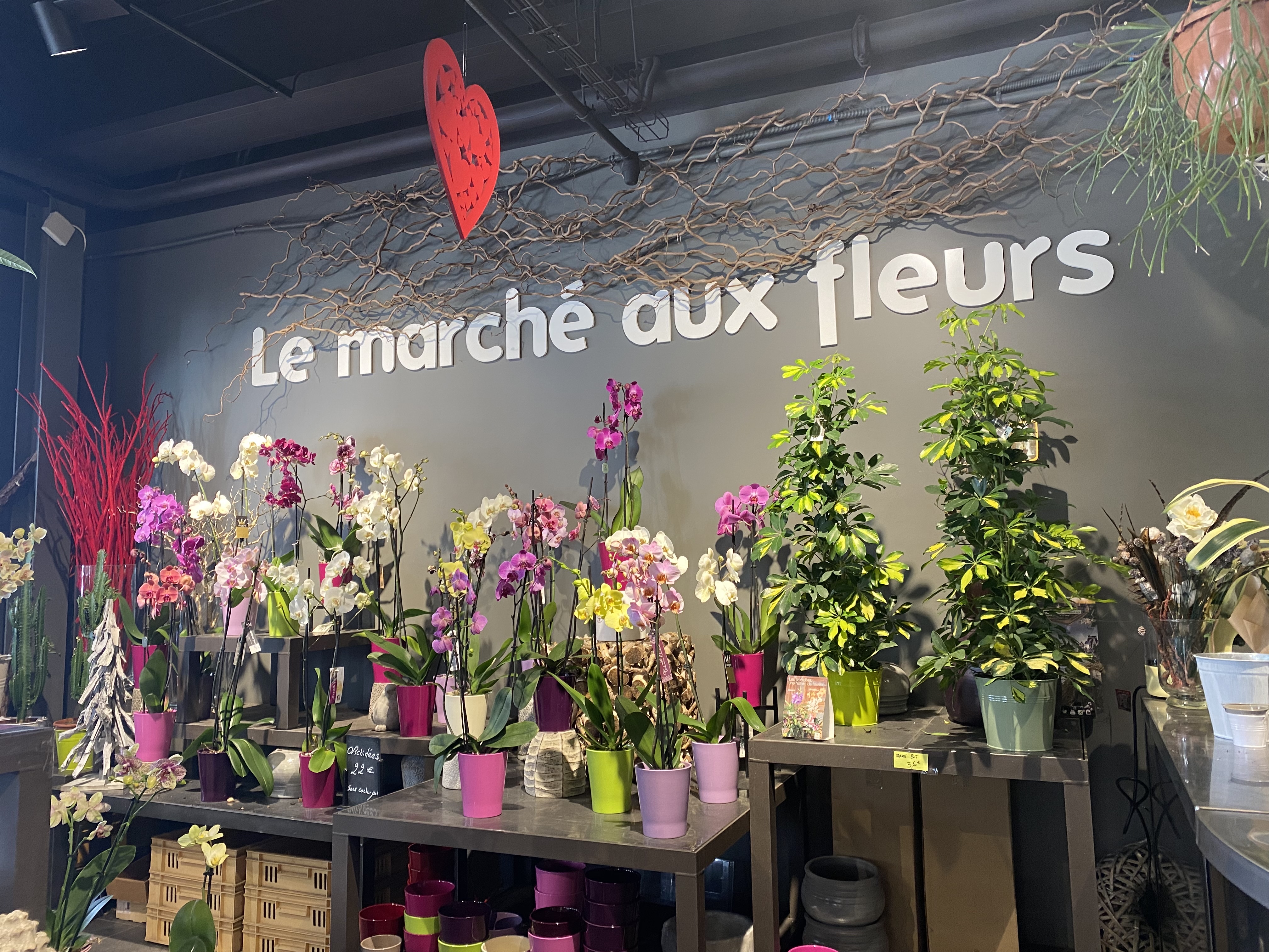 Photo n° 1 de l'avis de Rachid. fait le 10/03/2022 à 11:51