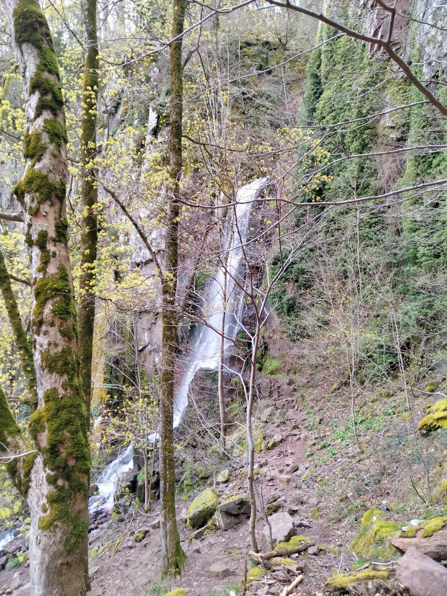 Photo n° 5 de l'avis de Bernard.o fait le 11/08/2023 à 16:52