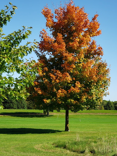 Golf Course «Bluff Creek Golf Course», reviews and photos, 1025 Creekwood Dr, Chaska, MN 55318, USA