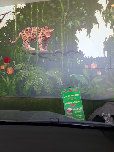 Car Wash «Green Forest Car Wash», reviews and photos, 4649 W Rosecrans Ave, Hawthorne, CA 90250, USA