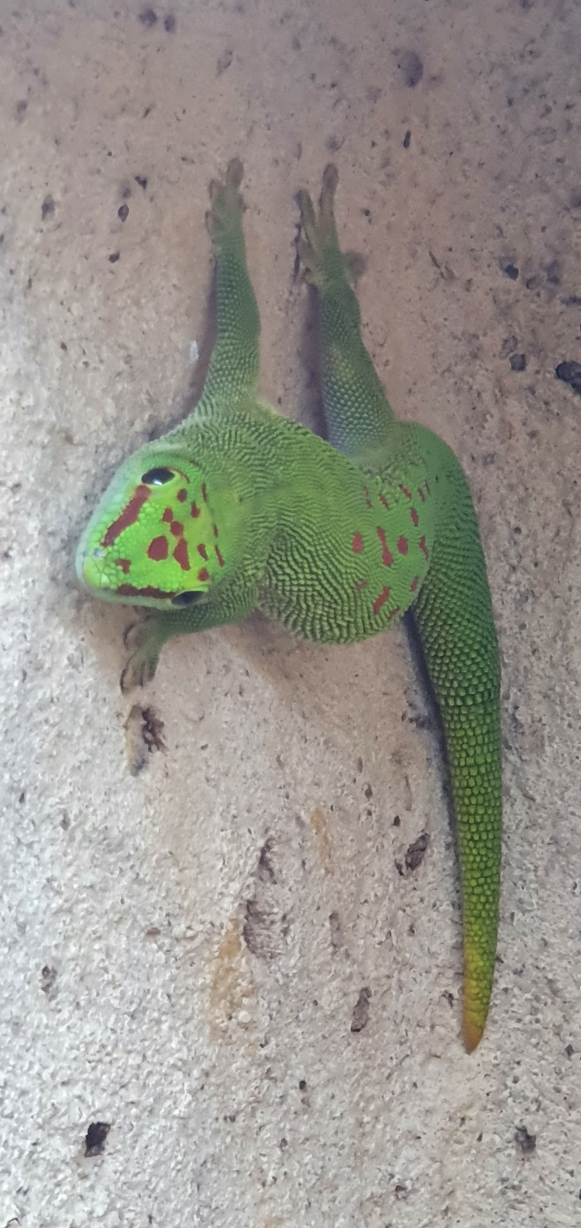 Photo n° 12 de l'avis de Laëtitia.E fait le 25/07/2020 à 00:11