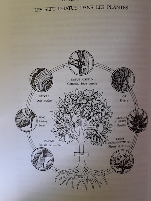 Samana Ayurveda et Yoga à Romans-sur-Isère