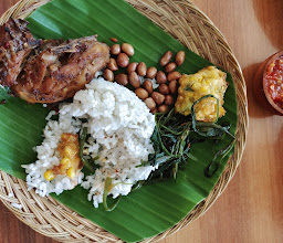 Ayam B22 photo