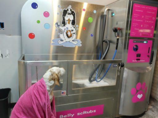 Pet Groomer «Belly scRubs Self Service Pet Wash», reviews and photos, 119 WV-34 #1, Hurricane, WV 25526, USA